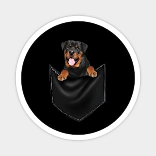 Rottweiler Dog Inside Pocket, Dog Lover Magnet